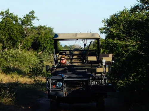 Safari vehicle in the bush