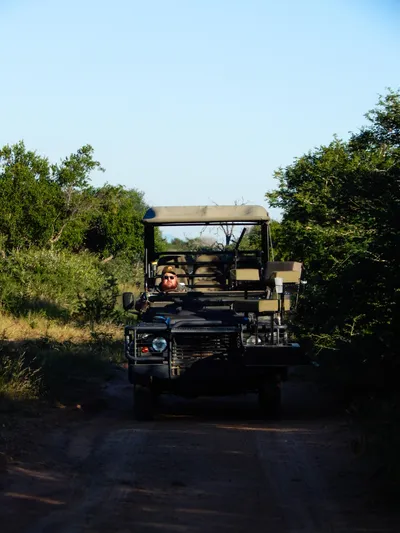 Safari vehicle in the bush