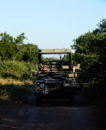Safari vehicle in the bush