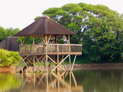 Elevated hide over the waterhole