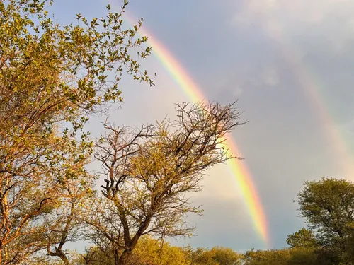 Double rainbow over the bushveld