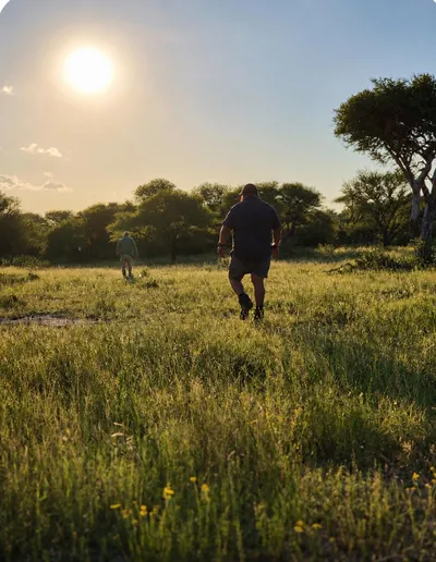 Walking into the sunset
